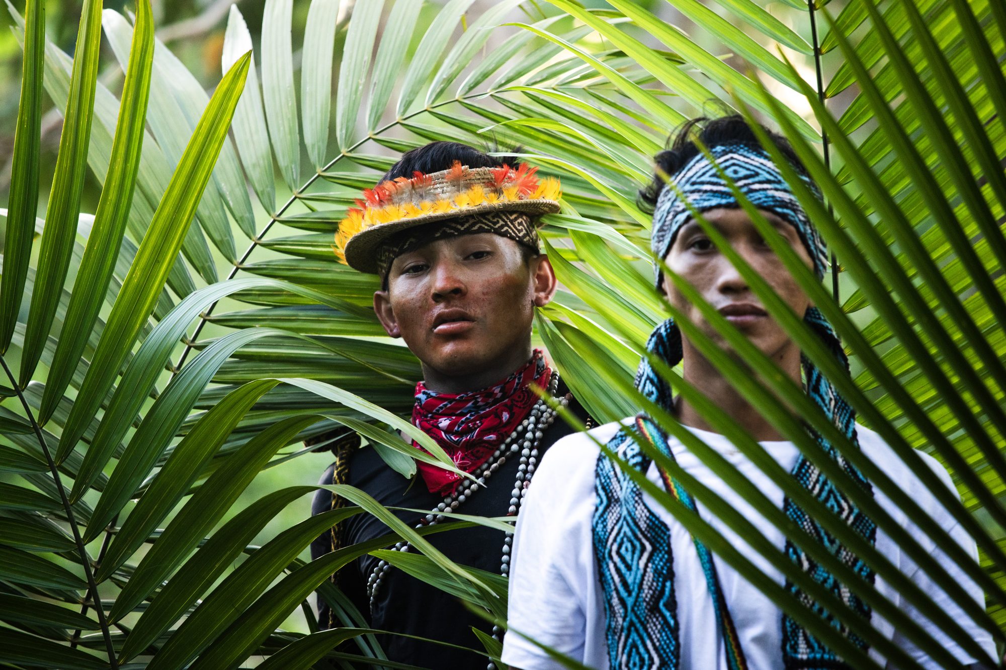 Two Huni Kuin community members among forest palms in Acre, Brazil